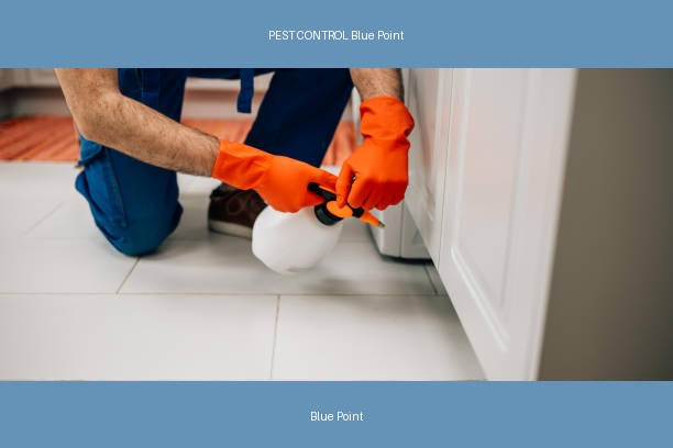 PEST CONTROL Blue Point